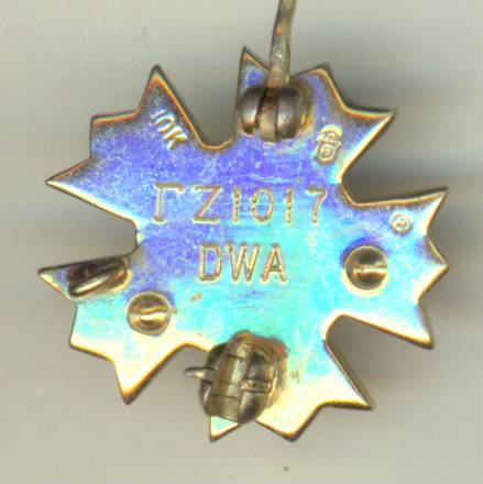 Sigma Nu