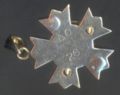 Sigma Nu - Pendant