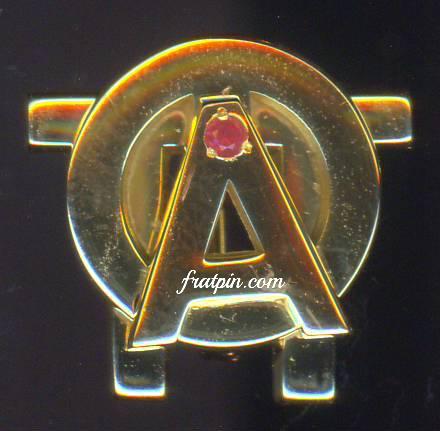 Alpha Omicron Pi Logo Phone Wallet